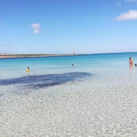 Apartment Sardegna Delizioso Bilocale Vista Mare *
